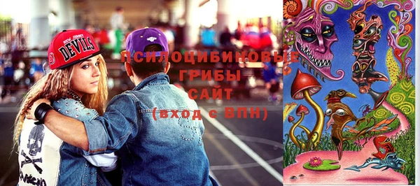 хмурый Верея