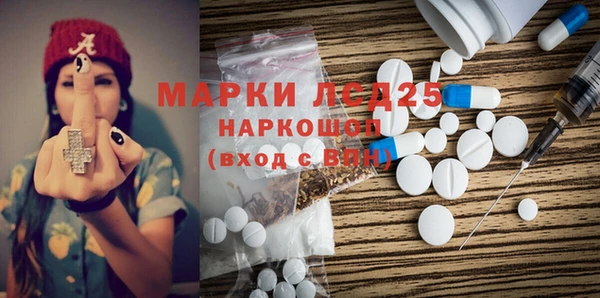 хмурый Верея