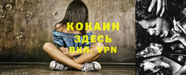 дурь Сосновка