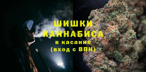 хмурый Верея
