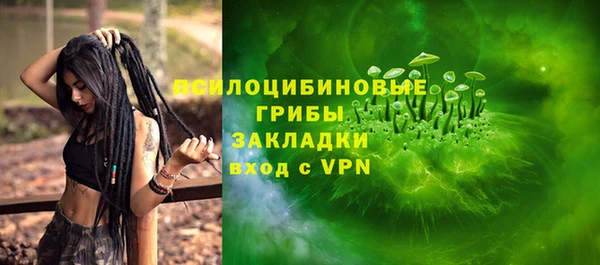 хмурый Верея