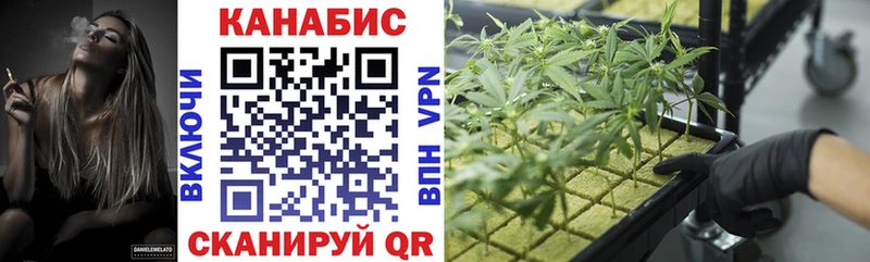 Бошки Шишки сатива  купить  сайты  Очёр 